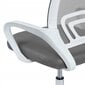 Biuro kėdė Szchara 97 x 60 x 48 cm kaina ir informacija | Biuro kėdės | pigu.lt
