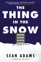 Thing in the Snow: A Novel kaina ir informacija | Fantastinės, mistinės knygos | pigu.lt