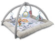 Minkštas žaidimų kilimėmėlis su žaisliukais Canpol Babies, 0+ mėn цена и информация | Lavinimo kilimėliai | pigu.lt