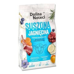 Dolina Noteci Premium su džiovinta ėriena, 9 kg цена и информация |  Сухой корм для собак | pigu.lt