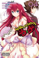 High School DxD, Vol. 4, Vol. 4 цена и информация | Fantastinės, mistinės knygos | pigu.lt