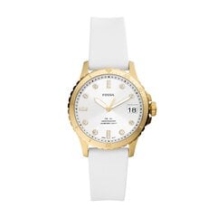 Moteriškas laikrodis Fossil FB01 kaina ir informacija | Moteriški laikrodžiai | pigu.lt
