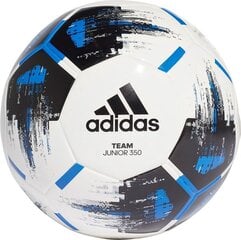 Футбольный мяч Adidas, 4 цена и информация | Футбольные мячи | pigu.lt