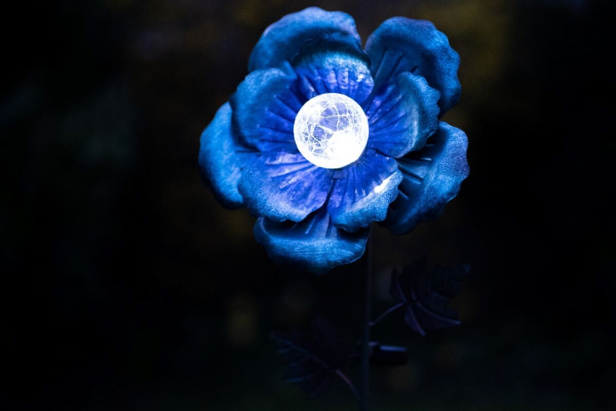 Sodo dektoracija Blue Poppy su saulės lempa kaina ir informacija | Sodo dekoracijos | pigu.lt