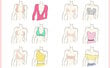 Krūtinės juosta moterims Lviman Boob Tape, ruda, 5cm, 5m kaina ir informacija | Liemenėlės | pigu.lt