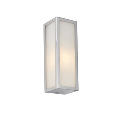 Endon настенный светильник  для ванны Newham 96219 цена и информация | Настенные светильники | pigu.lt
