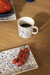 Iittala puodelis Helle, 300 ml kaina ir informacija | Taurės, puodeliai, ąsočiai | pigu.lt