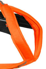 Non-stop dogwear freemotion 5.0, Черный/оранжевый цена и информация | Ошейники, подтяжки для собак | pigu.lt