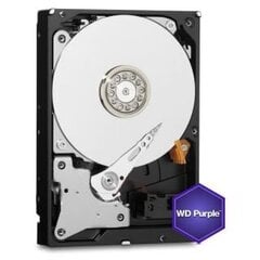 Western Digital Purple WD11PURZ kaina ir informacija | Vidiniai kietieji diskai (HDD, SSD, Hybrid) | pigu.lt