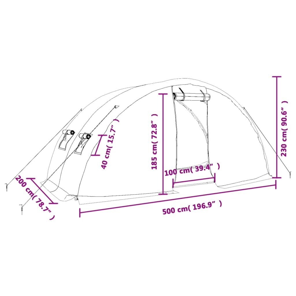 Šiltnamis su plieno rėmu vidaXL, 5x2x2,3m, 10m² kaina ir informacija | Šiltnamiai | pigu.lt