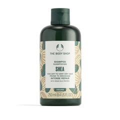 The Body Shop Shea šampūnas 250ml kaina ir informacija | Šampūnai | pigu.lt