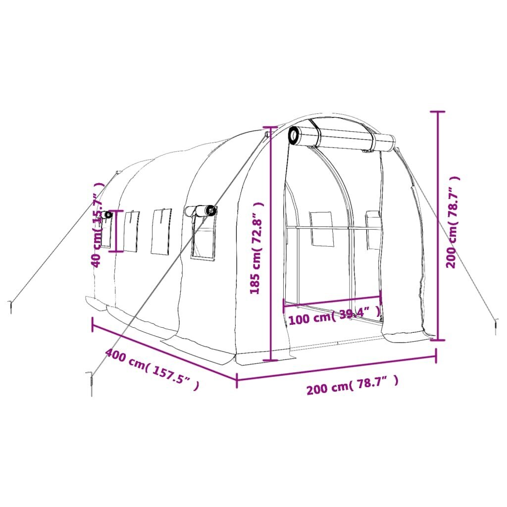 Šiltnamis su plieno rėmu vidaXL, 4x2x2m, 8m² kaina ir informacija | Šiltnamiai | pigu.lt