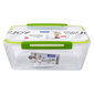 Rotho maisto saugojimo dėžutė Memory, 2 l kaina ir informacija | Maisto saugojimo  indai | pigu.lt