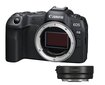 Canon EOS R8 + Mount Adapter EF-EOS R kaina ir informacija | Skaitmeniniai fotoaparatai | pigu.lt