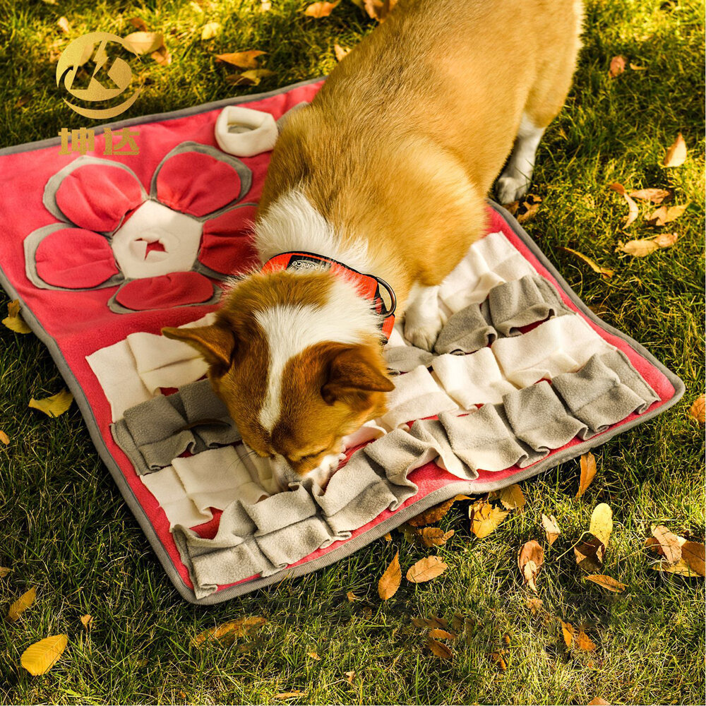 Lavinamasis uoslės kilimėlis šunims, 75 x 58 cm kaina ir informacija | Dresūros priemonės šunims | pigu.lt