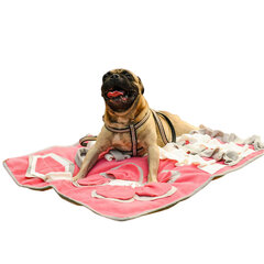 Lavinamasis uoslės kilimėlis šunims, 75 x 58 cm цена и информация | Средства для дрессировки собак | pigu.lt