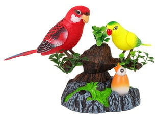 Поющие движущиеся разноцветные древесные попугаи цена и информация | Развивающие игрушки | pigu.lt