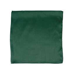 Лёгкий платок для женщин 35175-3 цена и информация | Женские шарфы, платки | pigu.lt