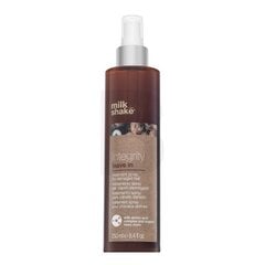 Plaukų purškiklis Milk Shake Integrity Leave In Treatment Spray, pažeistiems plaukams, 250 ml цена и информация | Средства для укладки волос | pigu.lt