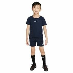 Nike sportinė apranga berniukams Dri-Fit Academy Pro, mėlyna цена и информация | Комплекты для мальчиков | pigu.lt