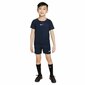 Nike sportinė apranga berniukams Dri-Fit Academy Pro, mėlyna kaina ir informacija | Komplektai berniukams | pigu.lt