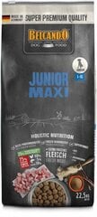 Belcando Junior Maxi для собак крупных и гигантских пород с 4 до 18 месяцев 22,5 кг цена и информация |  Сухой корм для собак | pigu.lt