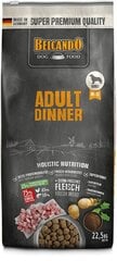 Belcando Adult Dinner для собак средних и крупных пород с нормальным уровнем активности 22,5 кг цена и информация | Сухой корм для собак | pigu.lt