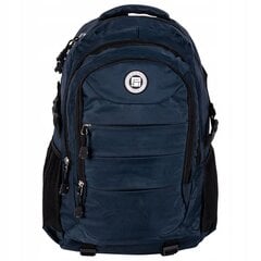 Mokyklinė kuprinė Paso Active, mėlyna цена и информация | Школьные рюкзаки, спортивные сумки | pigu.lt