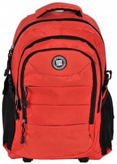 Mokyklinė kuprinė Paso Active 30l, oražinė цена и информация | Школьные рюкзаки, спортивные сумки | pigu.lt