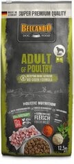 Belcando adult GF Poultry корм для взрослых собак, 12,5 кг цена и информация |  Сухой корм для собак | pigu.lt
