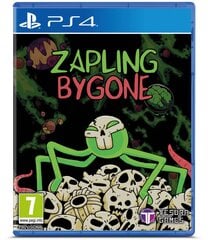 Zapling Bygone PS4 žaidimas kaina ir informacija | Kompiuteriniai žaidimai | pigu.lt