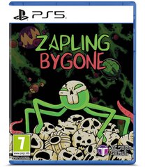 Zapling Bygone PS5 žaidimas kaina ir informacija | Kompiuteriniai žaidimai | pigu.lt