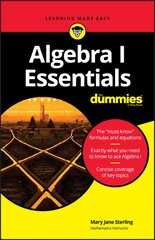 Algebra I Essentials For Dummies kaina ir informacija | Ekonomikos knygos | pigu.lt