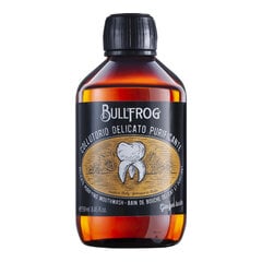 BULLFROG Delicate Purifying Mouthwash - Švelnus valantis burnos skalavimo skystis, be alkoholio, 250 ml kaina ir informacija | Dantų šepetėliai, pastos | pigu.lt