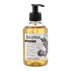 BULLFROG Botanical Delicate Cleansing Fluid - Delikatūs valomasis skystis veidui, barzdoi ir plaukams, 250 ml. kaina ir informacija | Šampūnai | pigu.lt