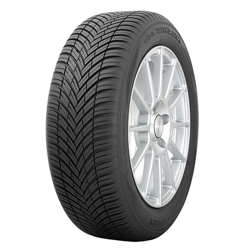 Toyo Tires Celsius AS2 205/55R17 W kaina ir informacija | Universalios padangos | pigu.lt