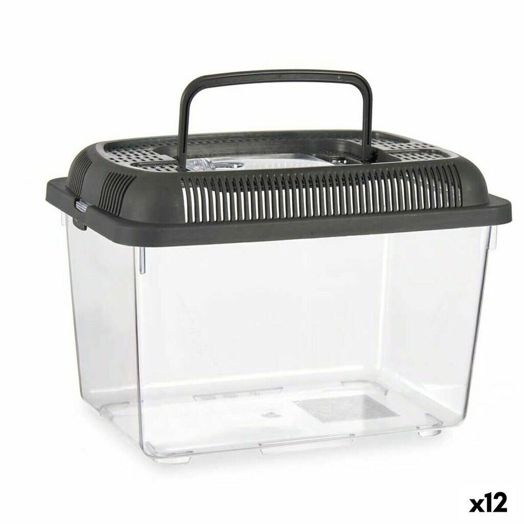 Mini akvariumas Mascow, 12,x17x12,5 cm, 12 vnt. kaina ir informacija | Akvariumai ir jų įranga | pigu.lt