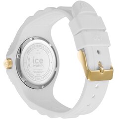 Ice Watch 019140 019140 цена и информация | Женские часы | pigu.lt