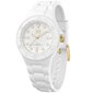 Laikrodis moterims Ice-Watch 019140 цена и информация | Moteriški laikrodžiai | pigu.lt