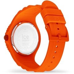 Ice Watch 019873 019873 цена и информация | Женские часы | pigu.lt