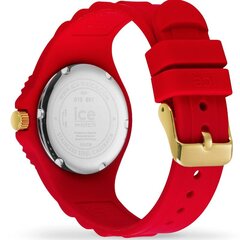 Ice Watch 019891 019891 цена и информация | Женские часы | pigu.lt