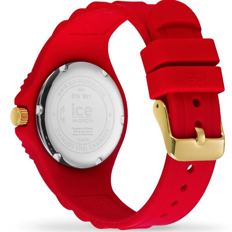 Laikrodis moterims Ice-Watch 019891 kaina ir informacija | Moteriški laikrodžiai | pigu.lt