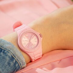 Ice Watch 019148 019148 цена и информация | Женские часы | pigu.lt