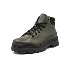 Ботинки мужские Nicolo Ferretti 5365RN1093, зеленые цена и информация | Мужские ботинки | pigu.lt