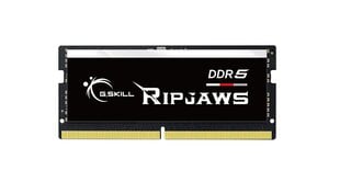 G.Skill Ripjaws F5-4800S4039A16GX1-RS цена и информация | Оперативная память (RAM) | pigu.lt
