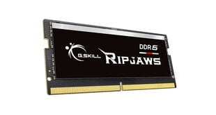 G.Skill Ripjaws F5-4800S4039A16GX1-RS цена и информация | Оперативная память (RAM) | pigu.lt