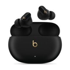 Beats Studio Buds Black MQLH3ZM/A kaina ir informacija | Ausinės | pigu.lt