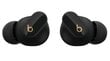 Beats Studio Buds + - True Wireless Noise Cancelling Earbuds - Black / Gold - MQLH3ZM/A kaina ir informacija | Ausinės | pigu.lt