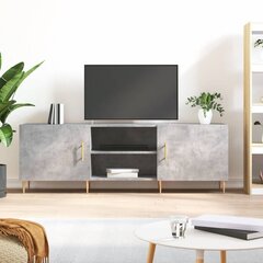 Televizoriaus spintelė vidaXL, 150x30x50 cm, pilka kaina ir informacija | TV staliukai | pigu.lt