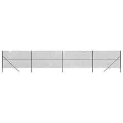 Tinklinė tvora vidaXL 1,6x10m kaina ir informacija | Tvoros ir jų priedai | pigu.lt